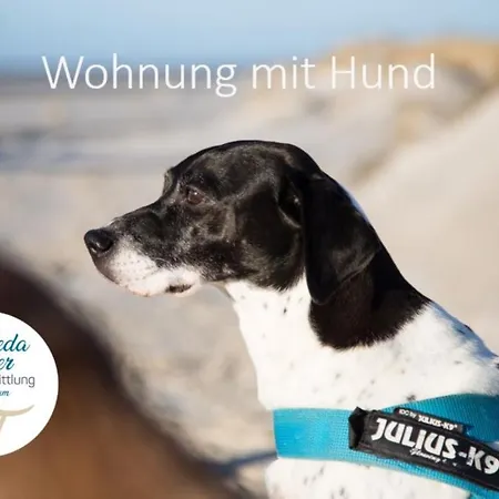 Haus Jungnamen Whg. 3 * Wittdün